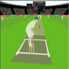Npower Cricket Game - View Larger Image
