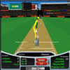 Stick Cricket - View Larger Image