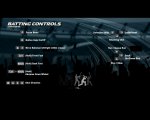 Batting Controls ashes 09.JPG