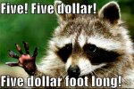 raccoon-funny-animal-humor-20225762-1703-1134.jpg