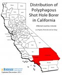 polyphagous_shot_hole_borer_distribution_map_cisr_large.jpg