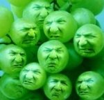 sourgrapes.jpg