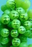 sour-grapes_zps0313be37.jpg