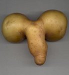 potato-011.jpg