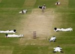 funny-cricket-pictures-bees-on-cricket-ground.jpg