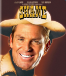 Shane#.png