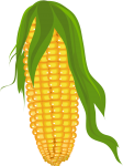 corn2.png