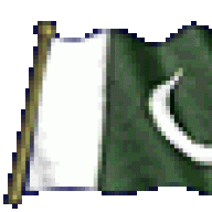 hnj81