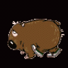 Wombat