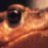 Tedious Toad