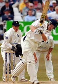 Andrew Gale / Chris Taylor Column