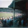 Damien Martyn salutes the crowd after his hundred