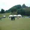 Central Districts celebrate a wicket