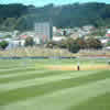 Mark Richardson plays a ball back down the pitch