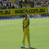 Brad Hogg in the field