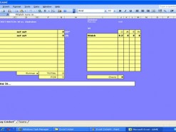 Excel Cricket