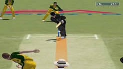 Cricket 2004