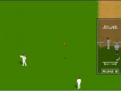 Allan Border Cricket Screenshot