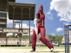 Brian Lara International Cricket 2007 Screenshot