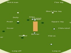 Cricket 3D: The cricket game for the Mac