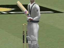 Cricket 2004 Screenshot