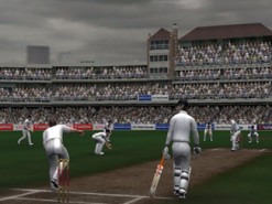 Cricket 2007 Screenshot