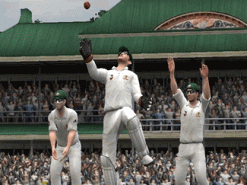 Cricket 2007 Screenshot