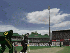 Cricket 2007 Screenshot