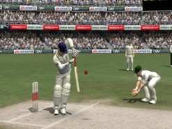 Cricket 2007 Screenshot