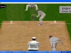 Double Wicket Cricket