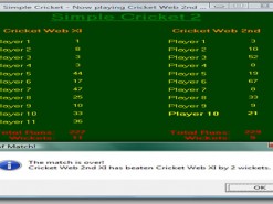 Simple Cricket 2