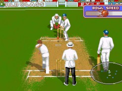 Allan Border Cricket Screenshot