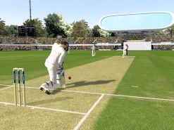 Ashes Cricket 2013 Screenshot