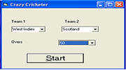 Crazy Cricketer