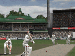 Cricket 2007 Screenshot