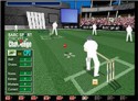 Cricket Craziness