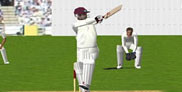 Cricket 3D: The cricket game for the Mac